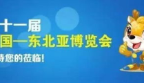东北亚博览会门票,揭秘东北亚博览会门票背后的精彩与机遇”