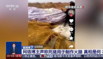 zhanqun.vip,病死猪被用于制作火腿？谣言,揭秘“病死猪火腿”谣言背后的真相