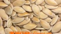 黄瓜籽怎么吃,黄瓜籽的多样食用方法与营养益处解析