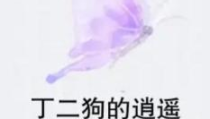 丁二狗小说全文免费阅读,从底层逆袭，逍遥人生巅峰传奇