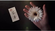 热门歌曲推荐理由,揭秘热门歌曲的火爆理由