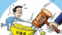 公务员是干什么的,国家治理的基石与公共服务的主力军