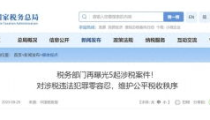 税务部门曝光五起涉税案件,严打偷逃税违法行为