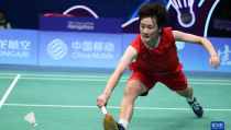 女子羽毛球,羽动芳华——女子羽毛球运动蓬勃发展纪实”