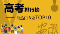 高考专业最热门专业有哪些,解析热门趋势与未来就业前景