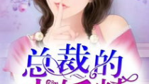 总裁的小妖精 小说,妖精逆袭之路