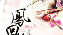 凤回巢小说全文免费阅读,顾莞宁与沈青岚的悲欢离合